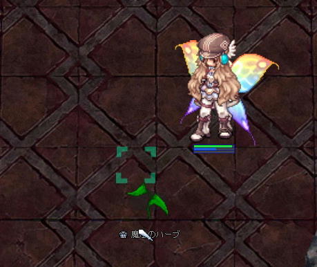 ニブルで魔法のハーブ